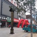 자작나무숲민박 이미지