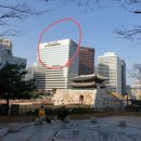 동화포목