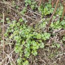 비지1리 이미지