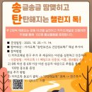 글땀 투데이경제