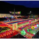 삼광사 Daum카페