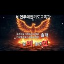 비연무예태권도 이미지