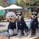 개린이 집합소 이미지