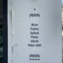 스타애견 이미지