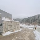 머스트화이트1동 이미지