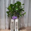 한마음안과 의원 이미지