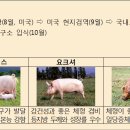 원종축산 이미지