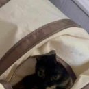 차앤백구강악안면외과치과의원 이미지