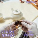 미래홍삼