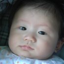 도영빌딩 이미지