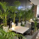 카페 뮬(CAFE MULE) 보문점