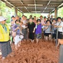 하남-신장-신장1호 이미지