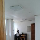 시청 앞 버스정류장 이미지