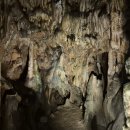 성류굴 관광지 | 성류굴 경북 울진군 이색 관광지 입장료 주차