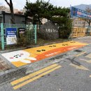 옐로카펫 이미지