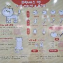 프린세스 캣 이미지