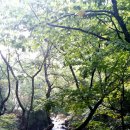 방태산마당바위민박 이미지