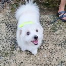 백두동물병원 이미지