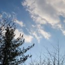 자연속캠핑장 이미지