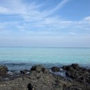 영지식당 | 연휴에 제주도일주일갔다온썰푼다(4) 세화해변, 영지식당, 성산일출봉, 당근과깻잎, 말방목공원, 친봉...