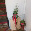 동광장여관 이미지