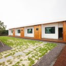 Maroon stay 이미지