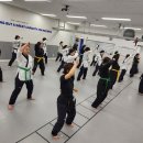 CHA태권도2 이미지