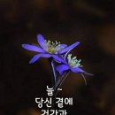 마금산온천 이미지