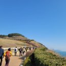 오륙도부동산공인중개사사무소 이미지