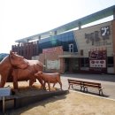 늘푸름홍천한우프라자 네이버블로그