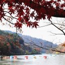 아라힐링카페 이미지