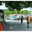 대숲속으로 이미지