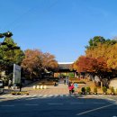 순종황제어가길 상징 이미지