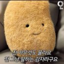 카매니아클럽 | 피그 | 쇼룸 404 홍대 | 홍대 방탈출 2인 후기