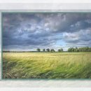 아인성형외과의원 이미지