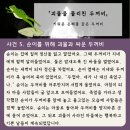 두꺼비 클럽 이미지