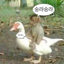 진짜집 네이버블로그