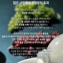 산딸기목장 이미지