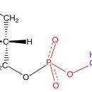 세린한의원 이미지