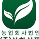 돌산갓밥상 | 인터넷으로 절임 반찬 주문해도 될까? 돌산갓절임, 깻잎절임 후기