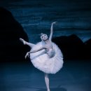 국립발레단 ’백조의 호수’ 이미지