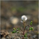 일단지공원 이미지