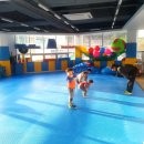 천년태권도체육관 이미지