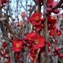 솔바우농장 이미지