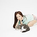 하라 조선일보