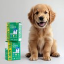 마파지로 이미지