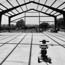 의지농장 이미지