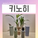 워시룸 | 키노히 룸스프레이 핸드워시 후기 히노키 향 좋은 공간 리셋템