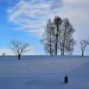 홋카이도 이미지