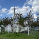 호반당구장 이미지